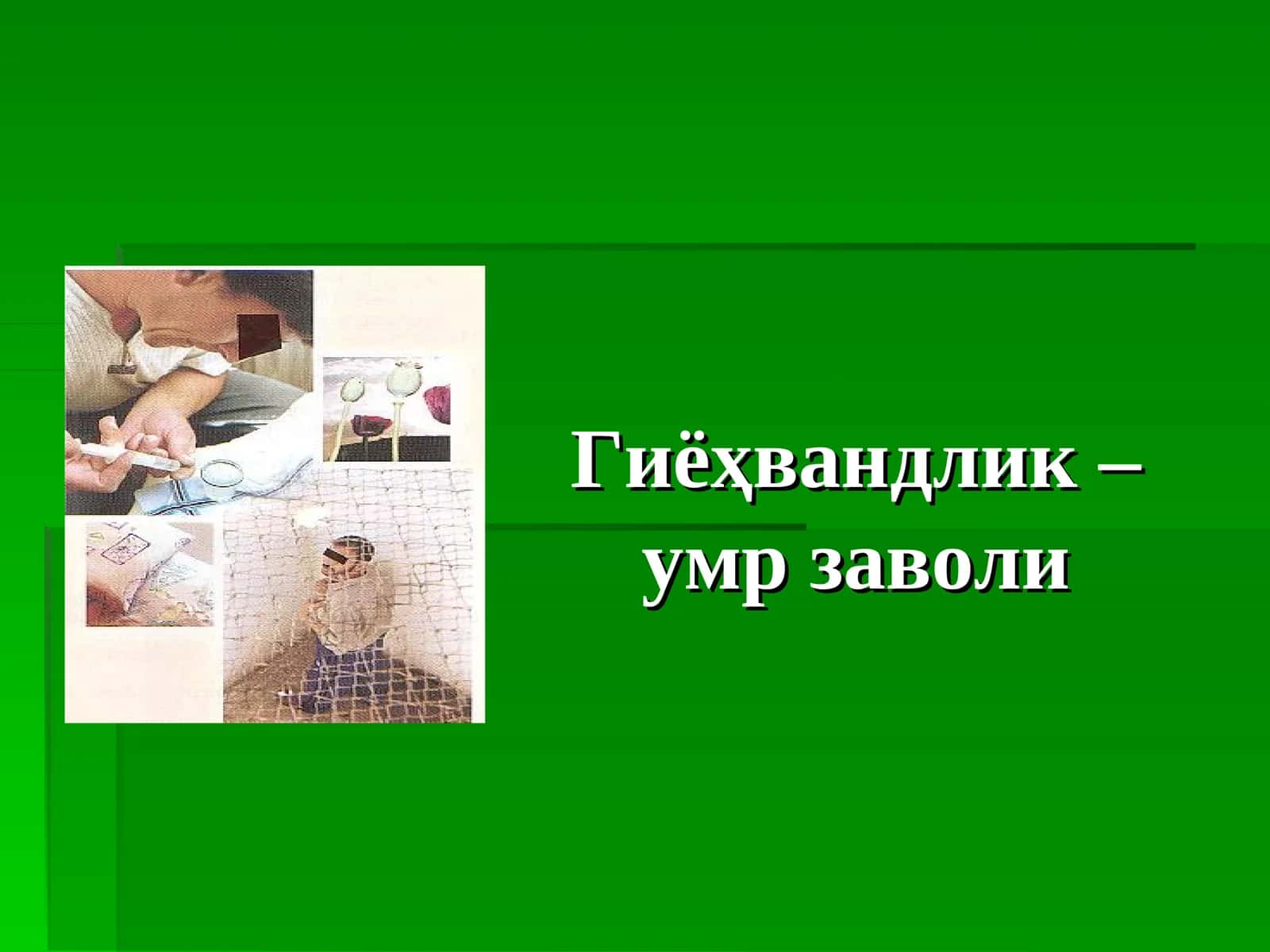 Гиёҳвандлик –умр заволи 1