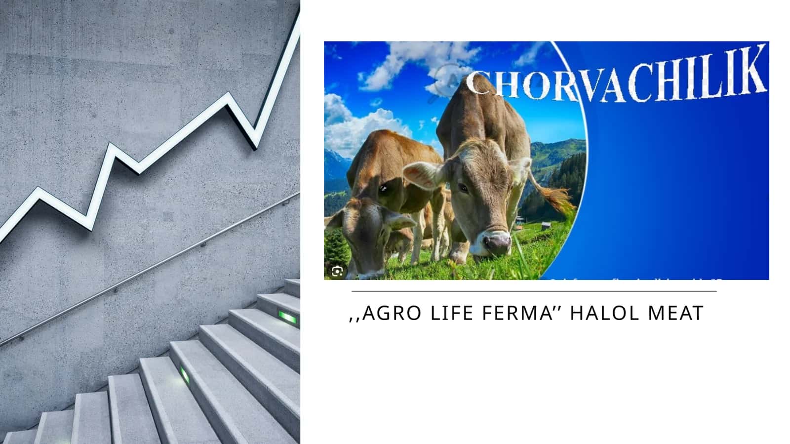 agro life ferma’’ Halol meat 1