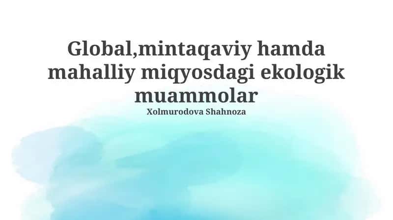 Global, mintaqaviy hamda mahalliy miqyosdagi ekologik muammolar 1