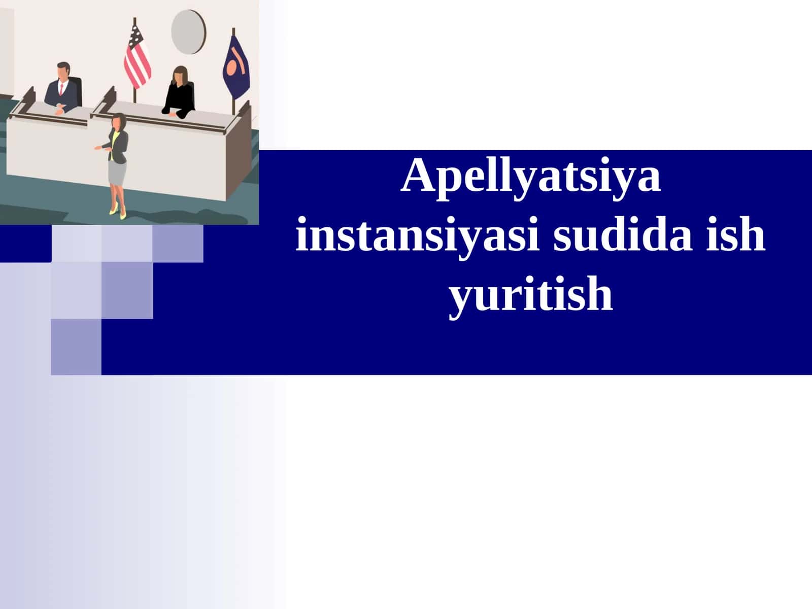 Apellyatsiya instansiyasi sudida ish yuritish 1