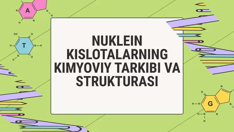 Nuklein Kislotalarning Kimyoviy Tarkibi va Strukturasi 1
