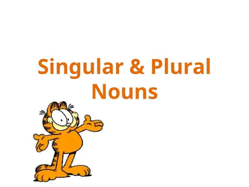 Singular & Plural Nouns 1