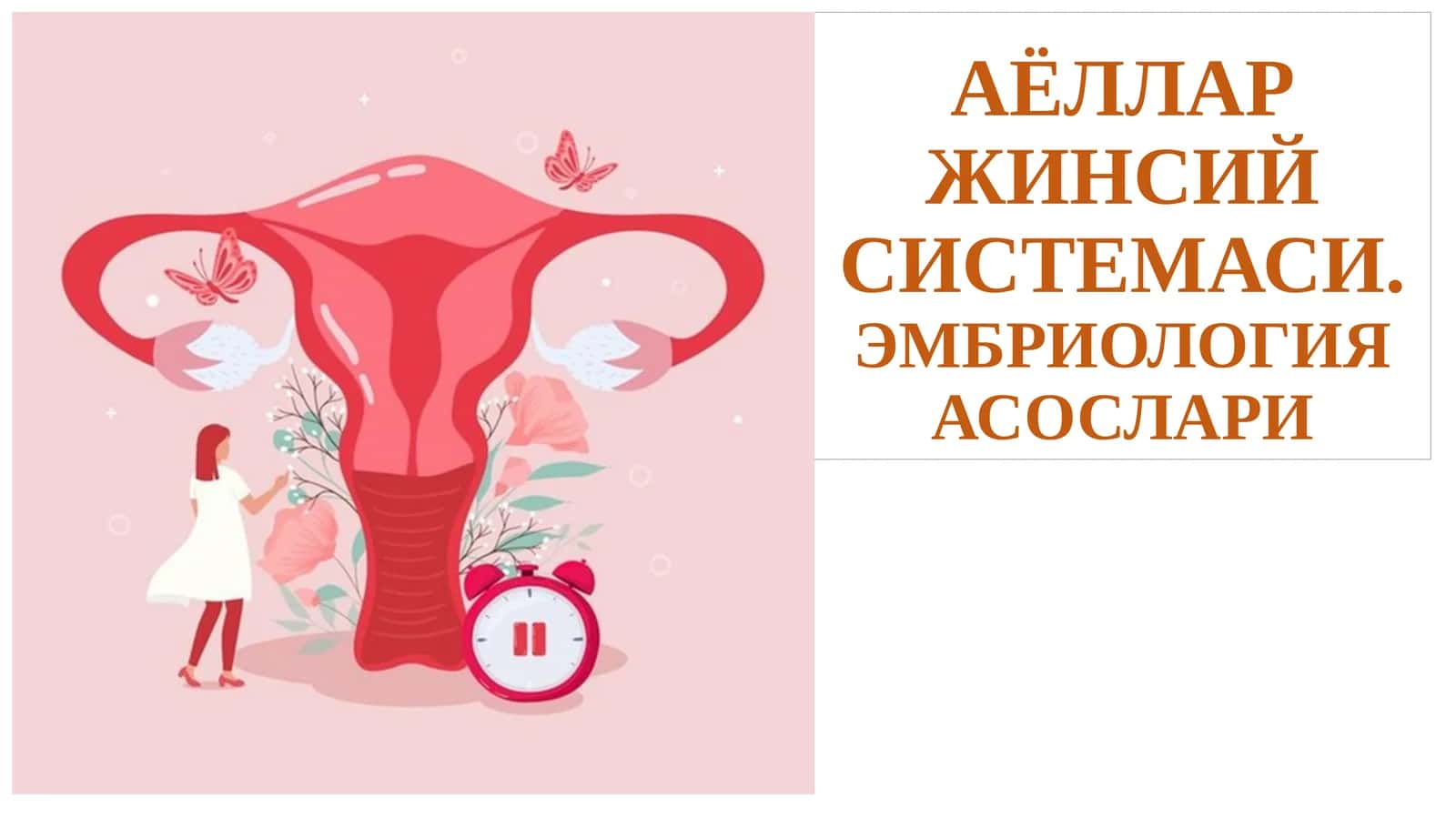 АЁЛЛАР ЖИНСИЙ СИСТЕМАСИ.ЭМБРИОЛОГИЯ АСОСЛАРИ 1