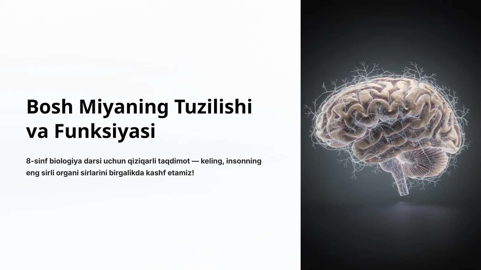 Bosh Miyaning Tuzilishi va Funksiyasi 1