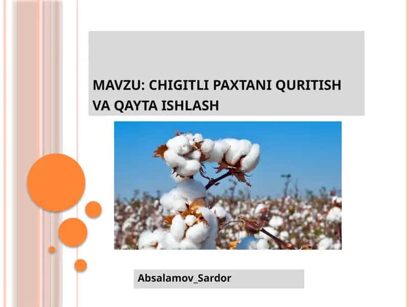 Chigitli paxtani quritish va qayta ishlash 1