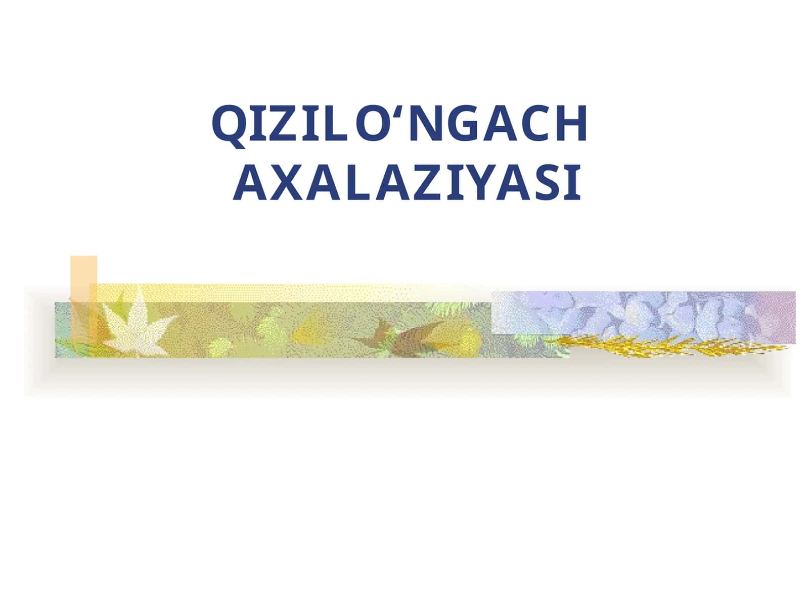 QIZILO‘NGACH  AXALAZIYASI 1