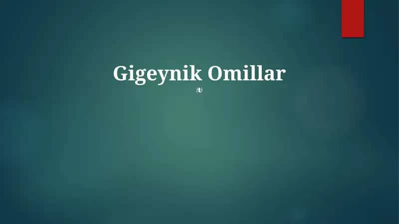 Gigeynik Omillar 1