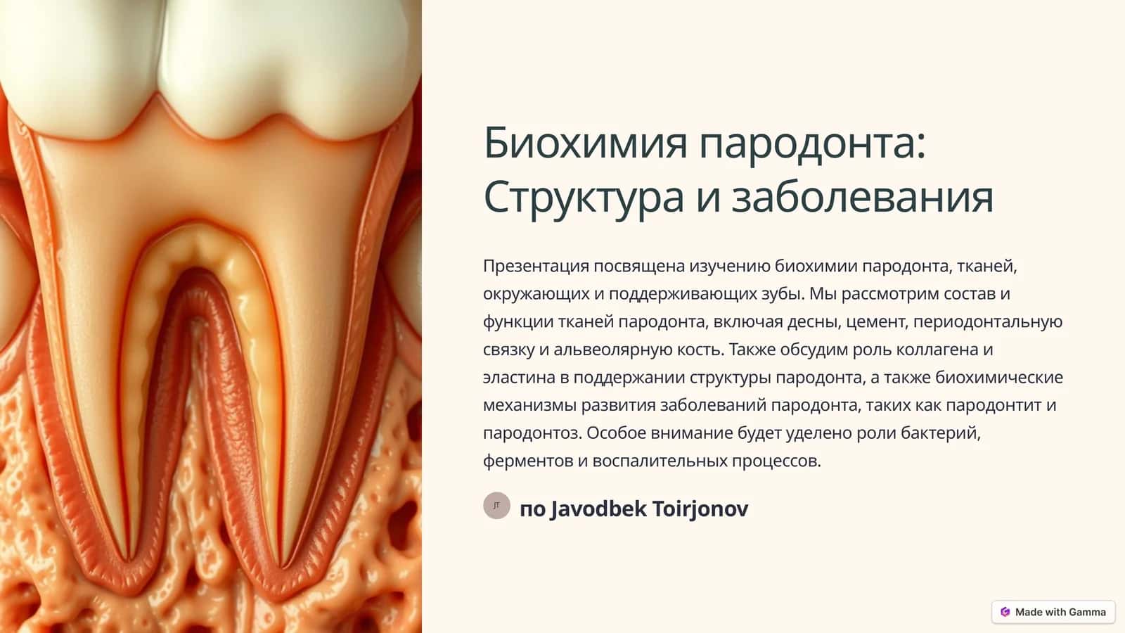 Биохимия пародонта: Структура и заболевания 1
