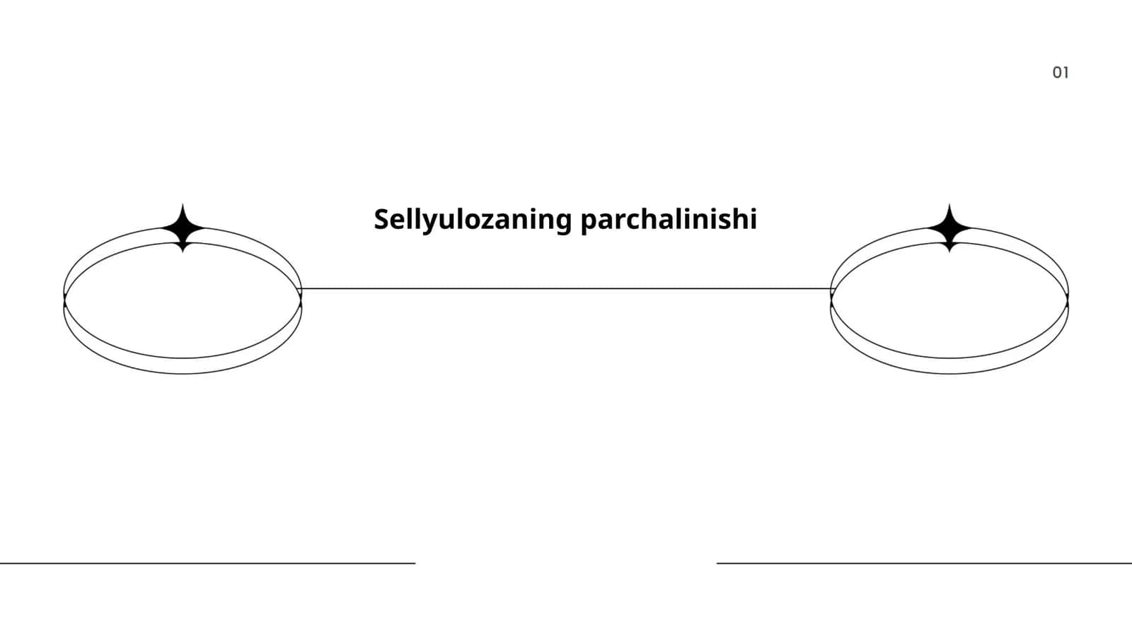 Sellyulozaning parchalinishi 1