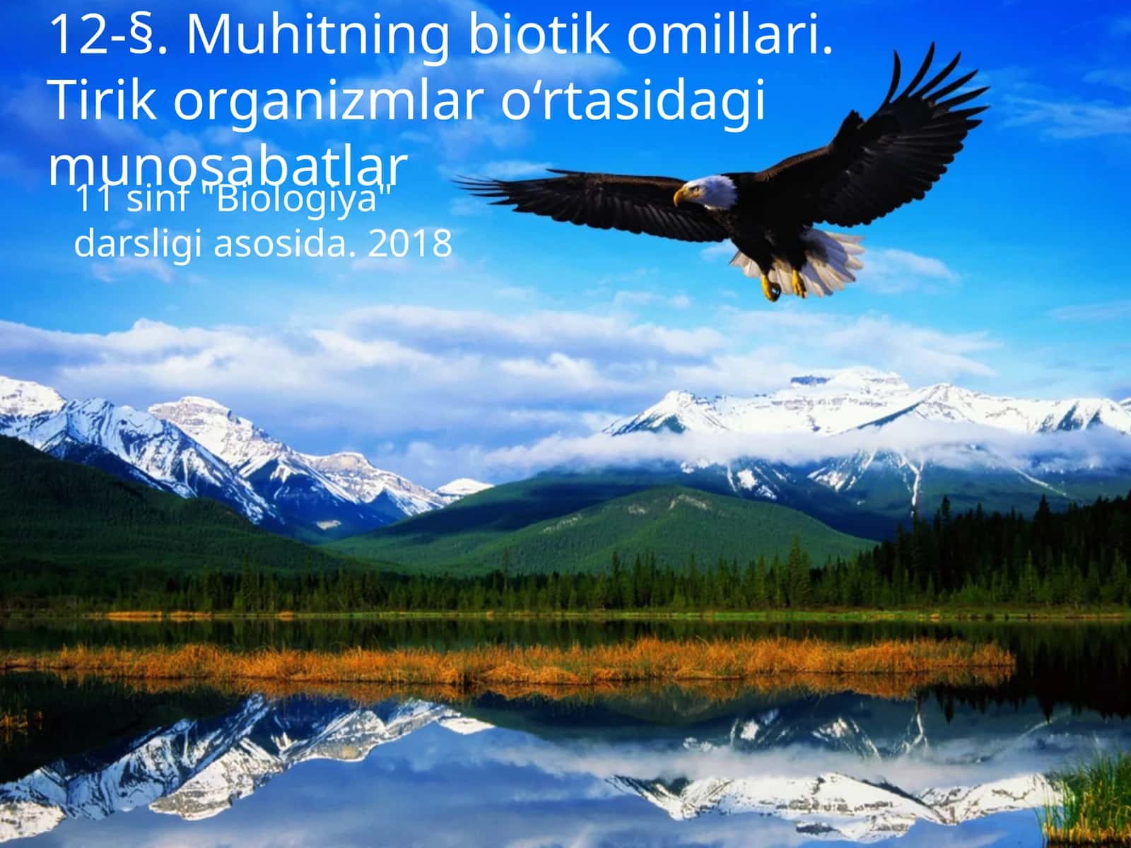 Muhitning biotik omillari 1