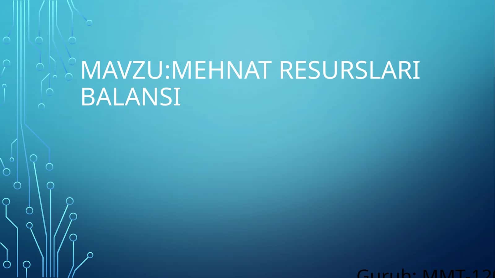 Mehnat resurslari balansi 1