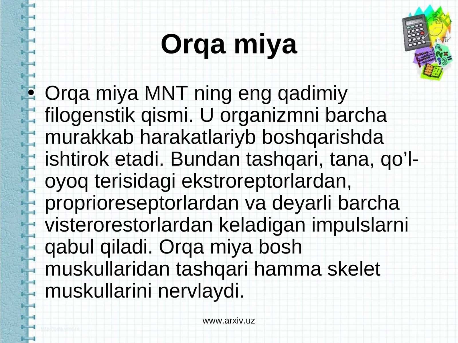 Orqa miya 1