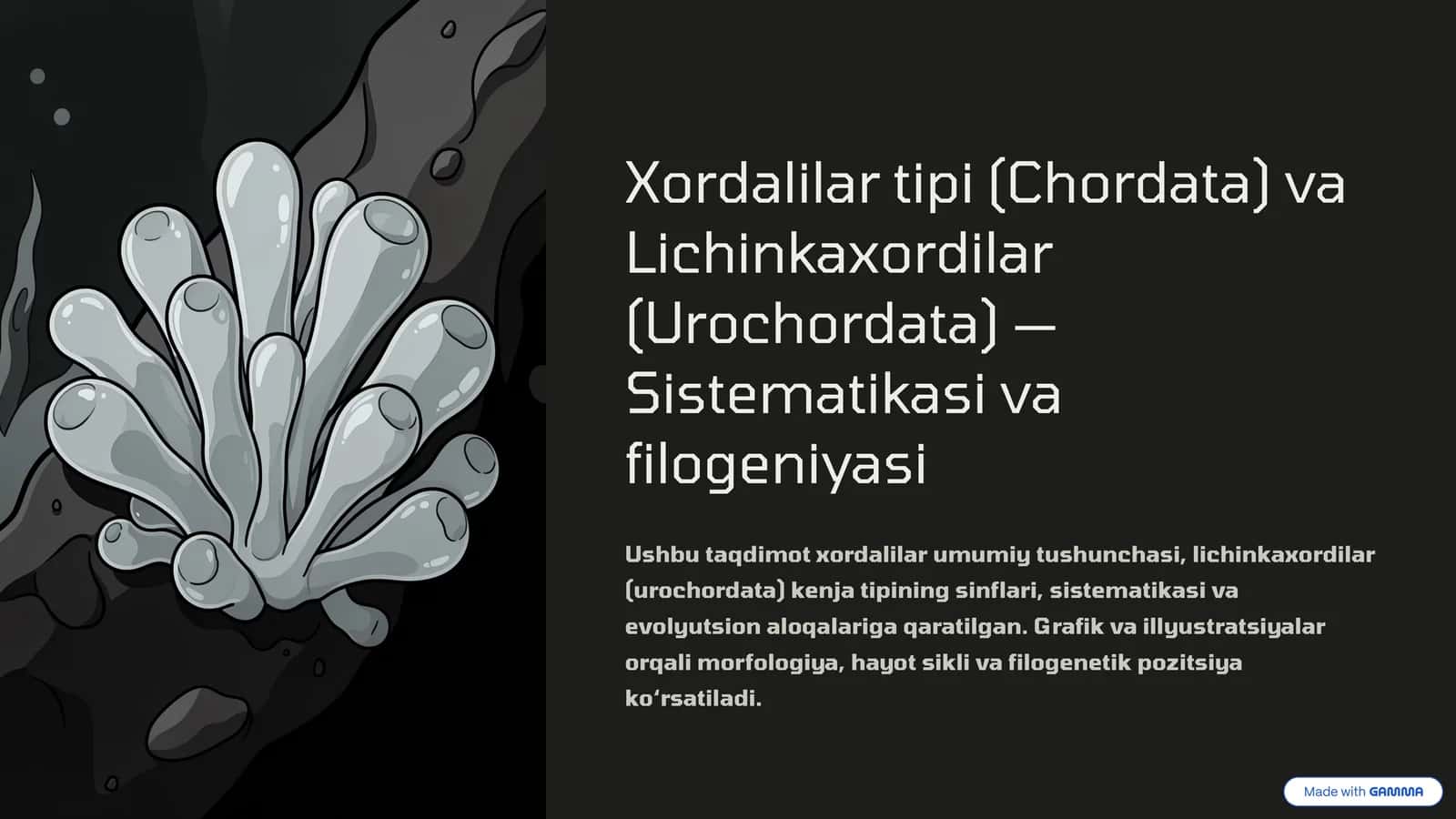 Xordalilar tipi (Chordata) va Lichinkaxordilar (Urochordata) - Sistematikasi va filogeniyasi 1