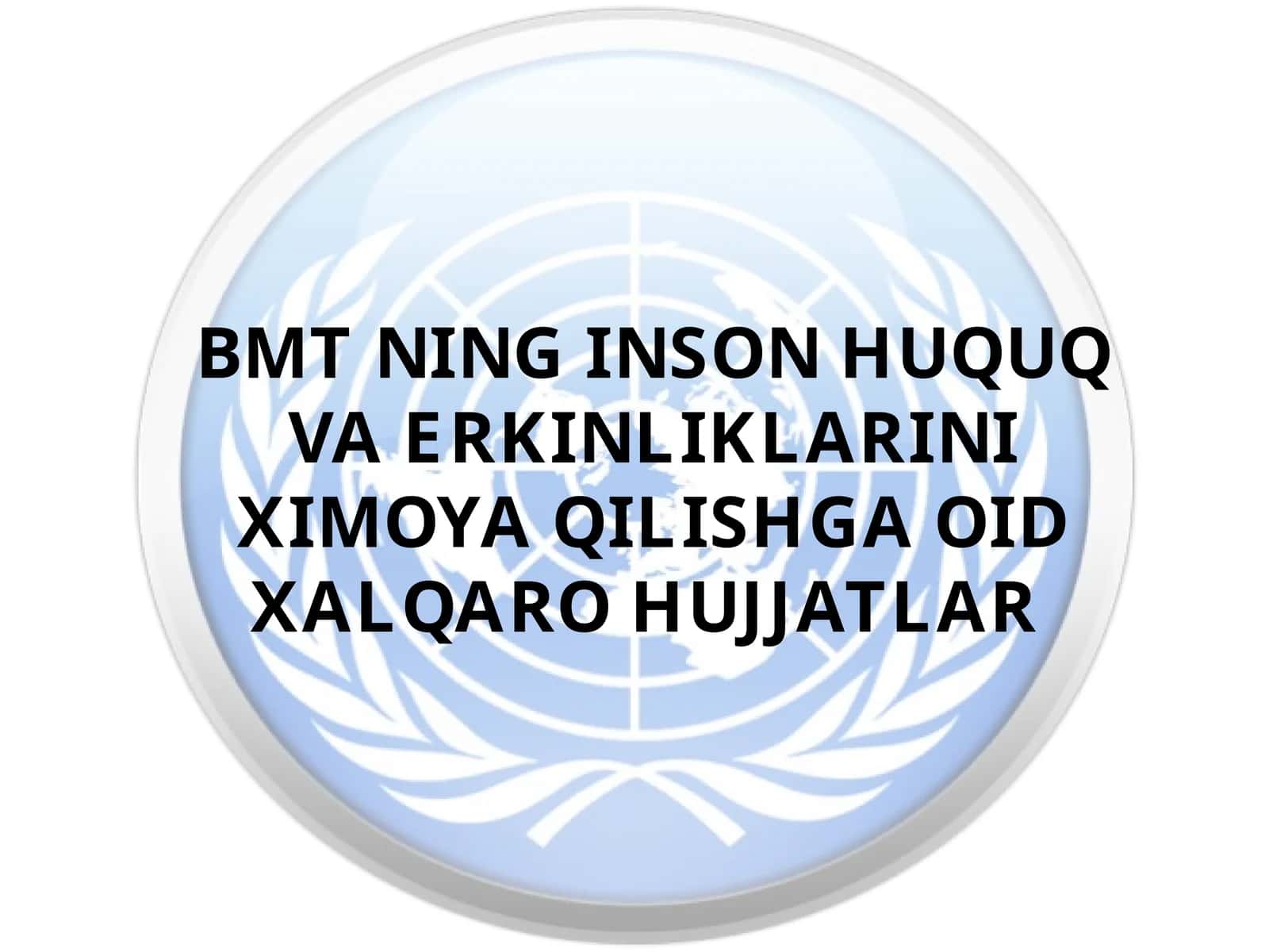 BMT NING INSON HUQUQ VA ERKINLIKLARINI XIMOYA QILISHGA OID XALQARO HUJJATLAR 1