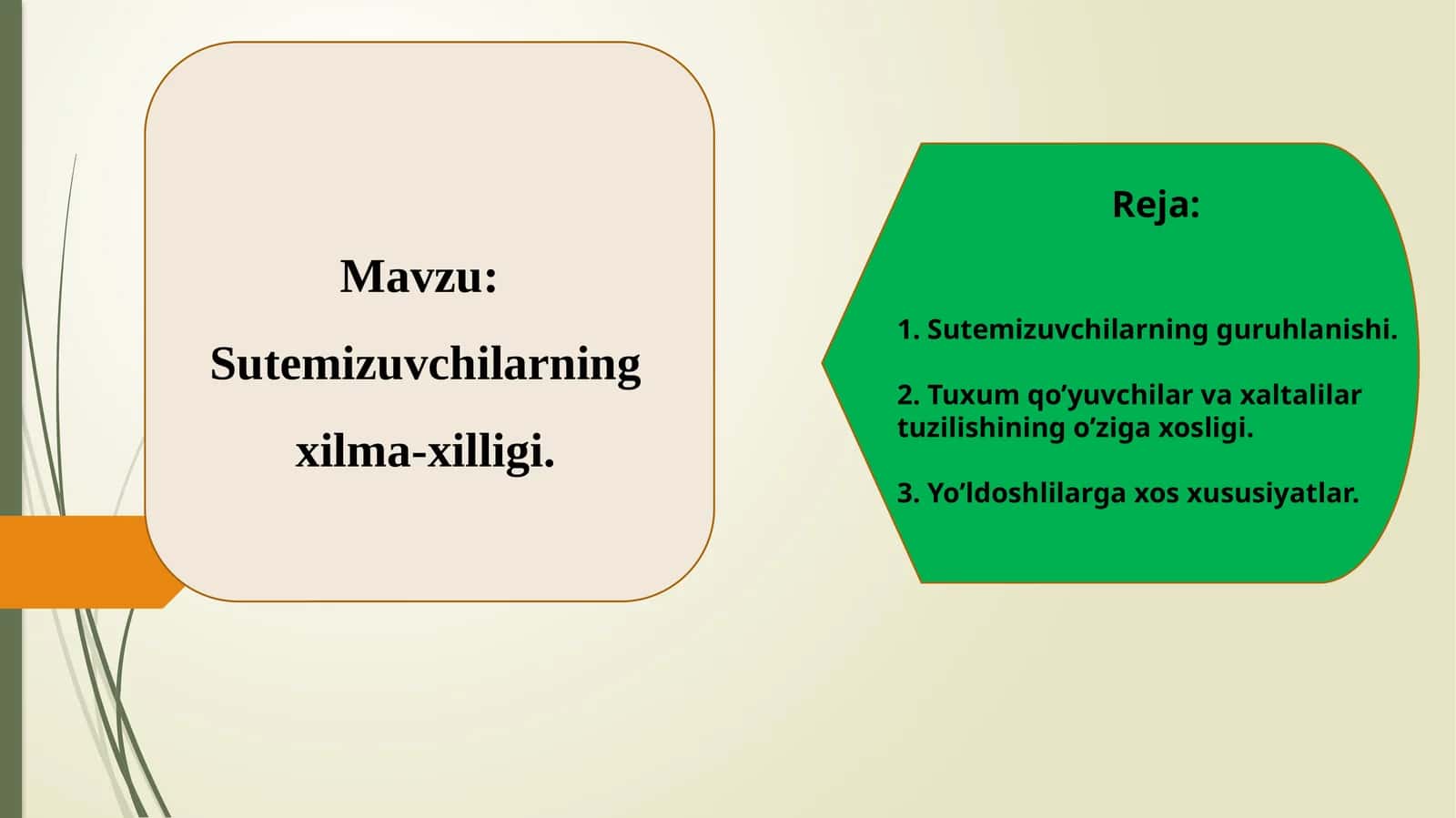 Sutemizuvchilarning xilma-xilligi 1