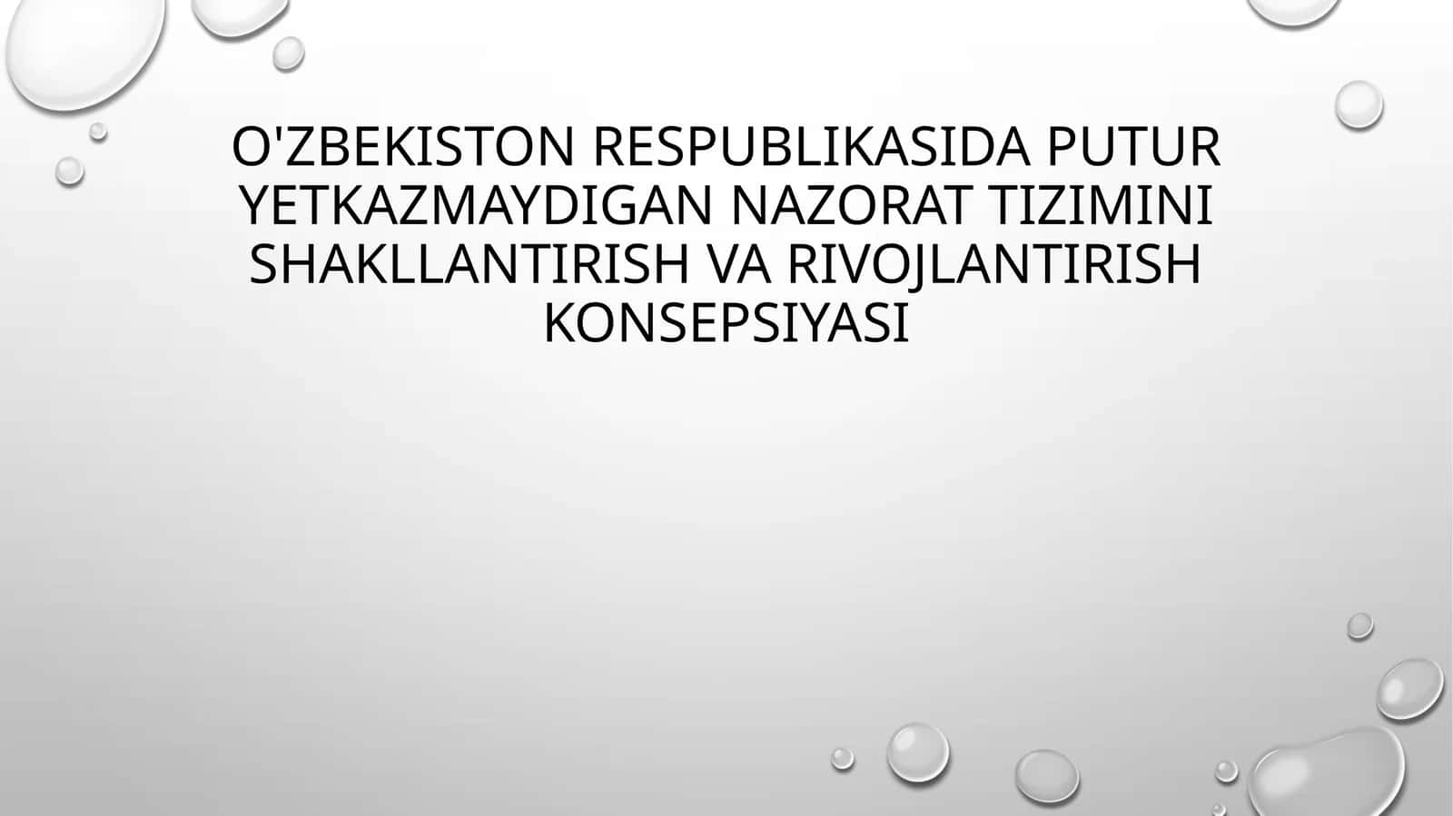 O'zbekiston Respublikasida putur yetkazmaydigan nazorat tizimini shakllantirish va rivojlantirish konsepsiyasi 1