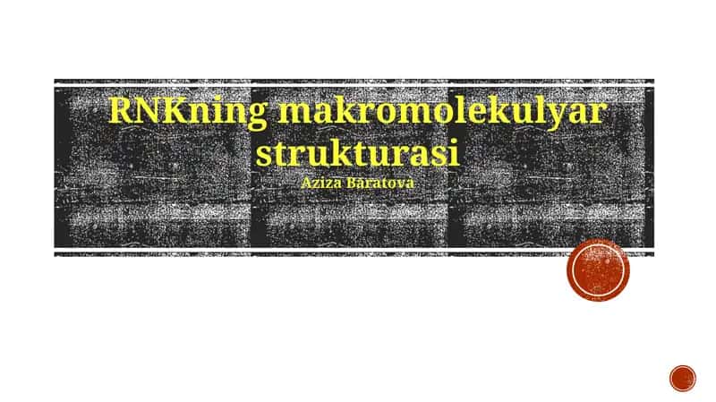 RNKning makromolekulyar strukturasi 1