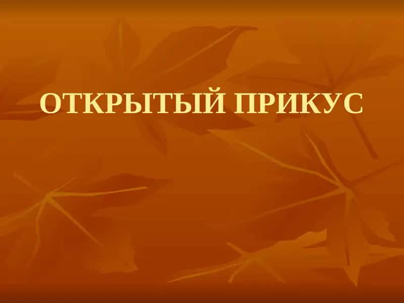 ОТКРЫТЫЙ ПРИКУС 1
