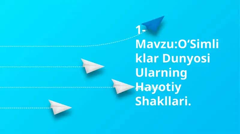 O'Simliklar Dunyosi Ularning Hayotiy Shakllari 1