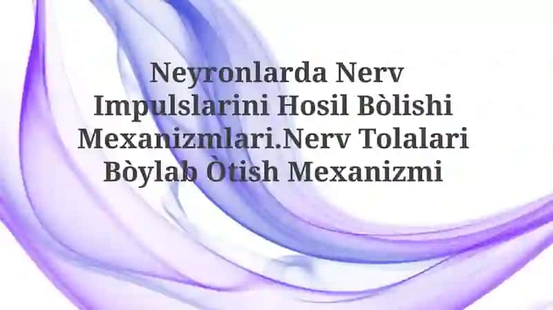 Neyronlarda Nerv Impulslarini Hosil Bòlishi Mexanizmlari.Nerv Tolalari Bòylab Òtish Mexanizmi