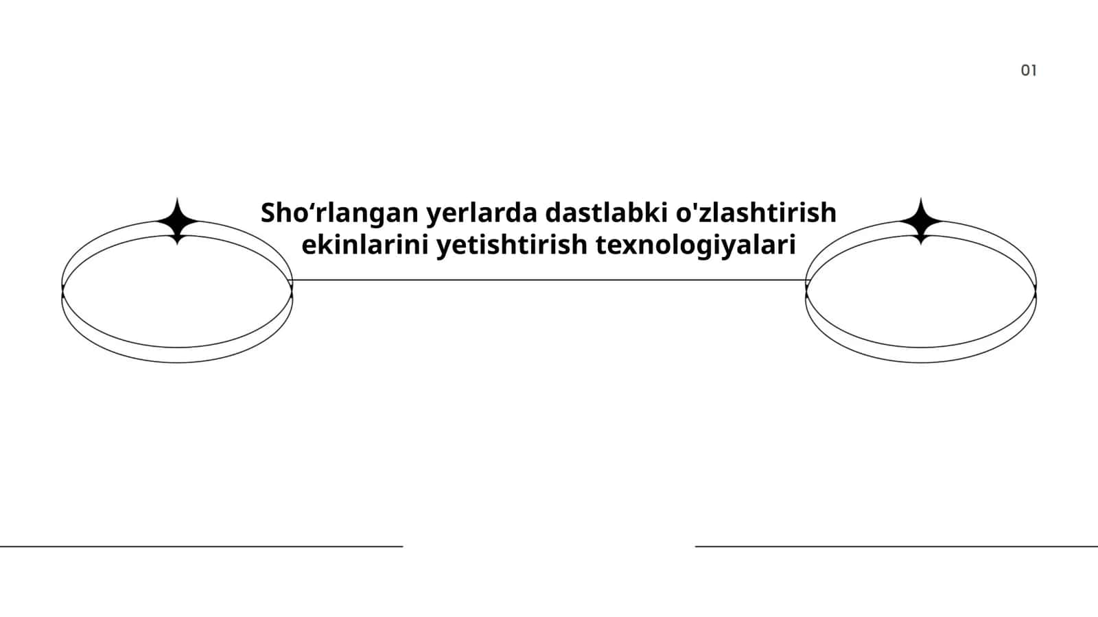 Shoʻrlangan yerlarda dastlabki o'zlashtirish ekinlarini yetishtirish texnologiyalari 1
