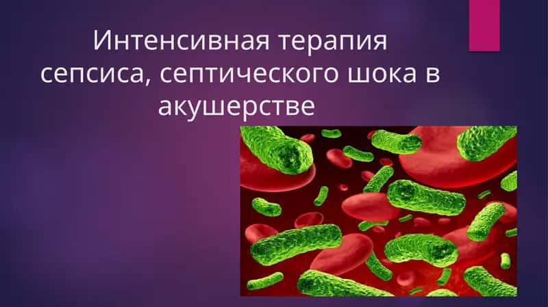 Интенсивная терапия сепсиса, септического шока в акушерстве 1