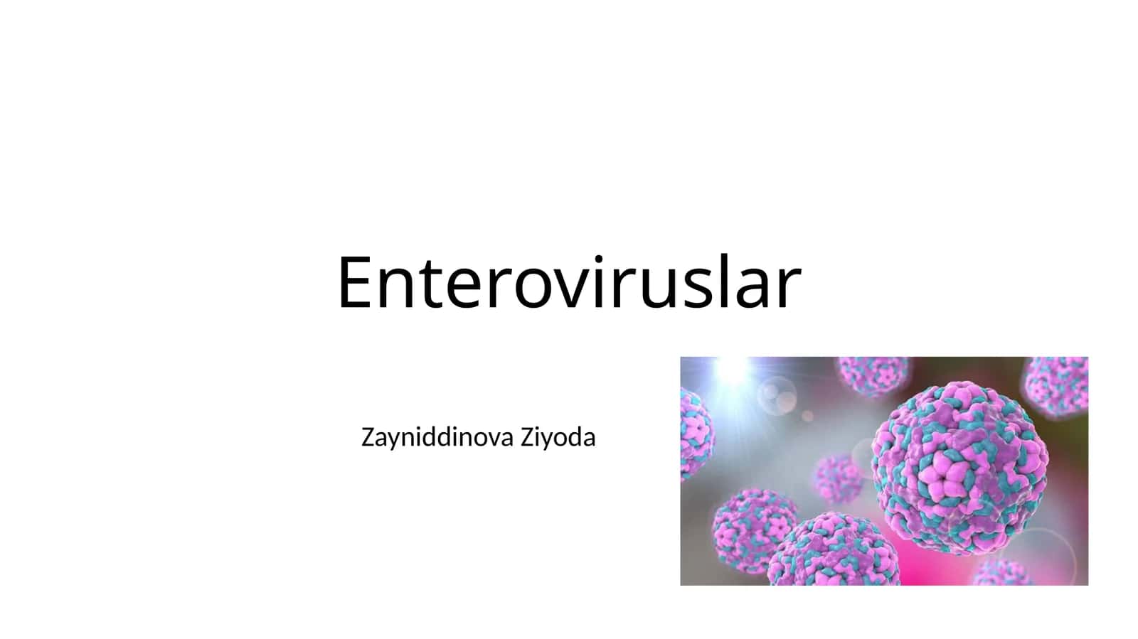 Enteroviruslar 1