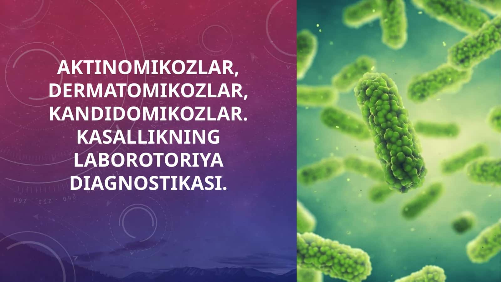 Aktinomikozlar, dermatomikozlar, kandidomikozlar. Kasallikning laborotoriya diagnostikasi. 1