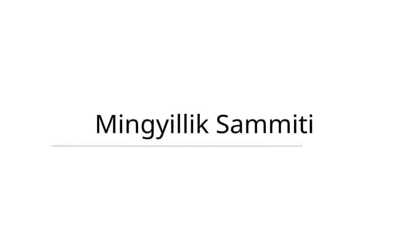 Mingyillik Sammiti 1