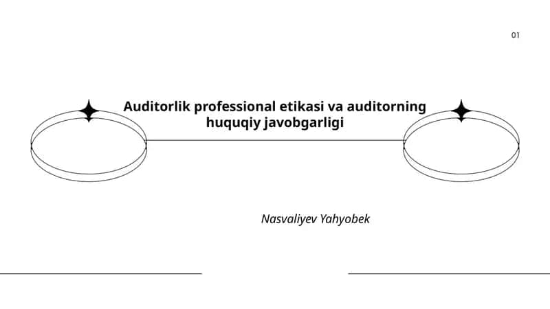 Auditorlik professional etikasi va auditorning huquqiy javobgarligi 1