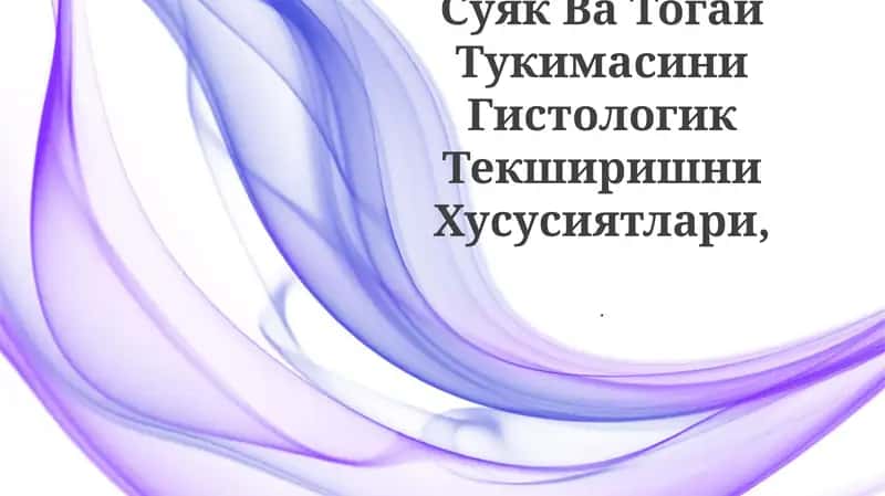 Суяк Ва Тогай Тукимасини Гистологик Текширишни Хусусиятлари 1