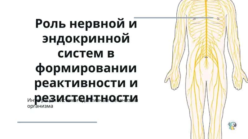 Роль нервной и эндокринной систем в формировании реактивности и резистентности 1
