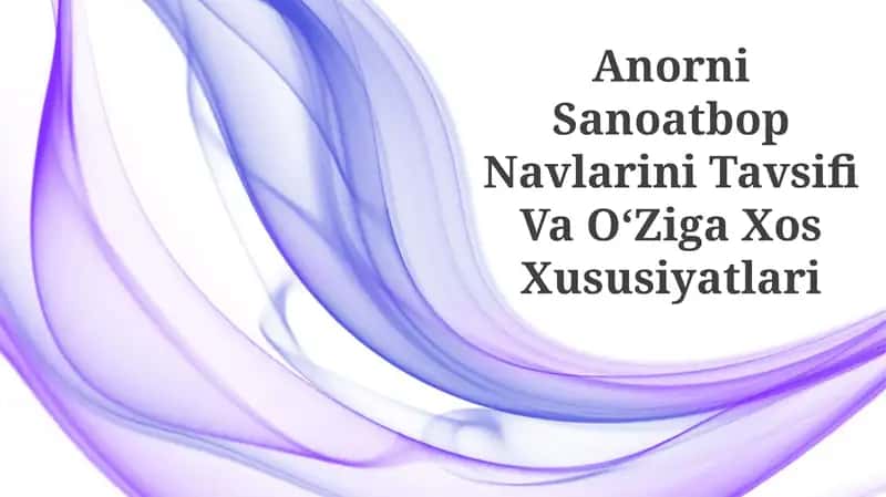 Anorni Sanoatbop Navlarini Tavsifi Va OʻZiga Xos Xususiyatlari 1