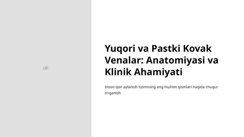 Yuqori va Pastki Kovak Venalar: Anatomiyasi va Klinik Ahamiyati 1