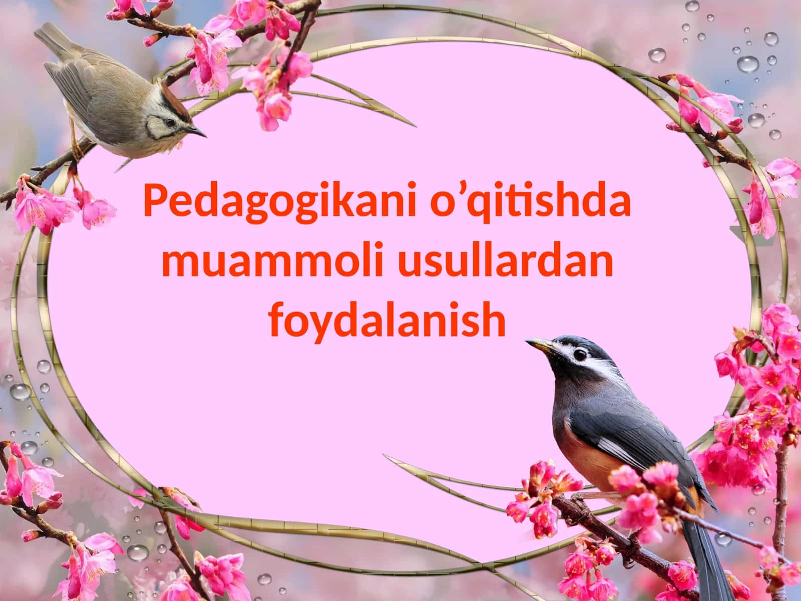 Pedagogikani o’qitishda muammoli usullardan foydalanish 1