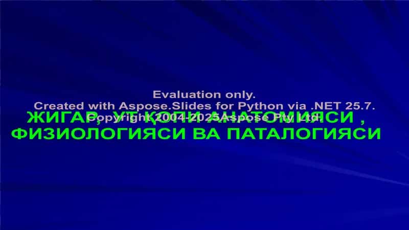 Жигар, Ут қопи анатомияси, физиологияси ва патологияси 1