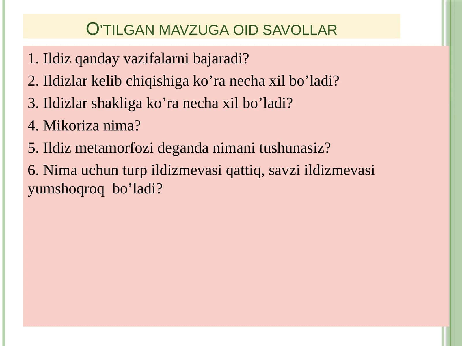 Ildizning anatomik tuzilishi 1