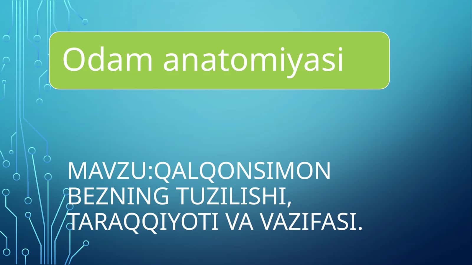 Qalqonsimon bezning tuzilishi, taraqqiyoti va vazifasi?anatomiya 1