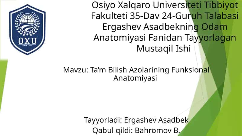Ta’m Bilish Azolarining Funksional Anatomiyasi 1