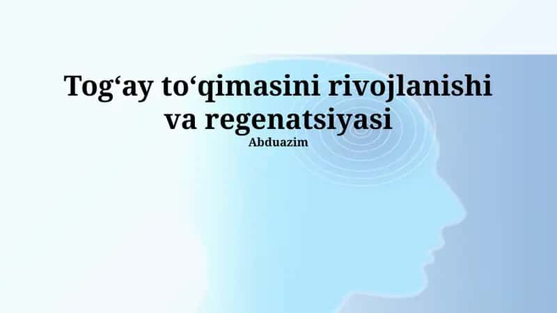 Daryo bo'yi o'rmonlarini tiklash usullari 1