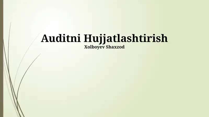 Auditni Hujjatlashtirish 1