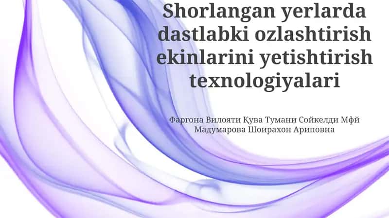 Dastlabki O'zlashtirish Strategiyalari va Texnologiyalari 1