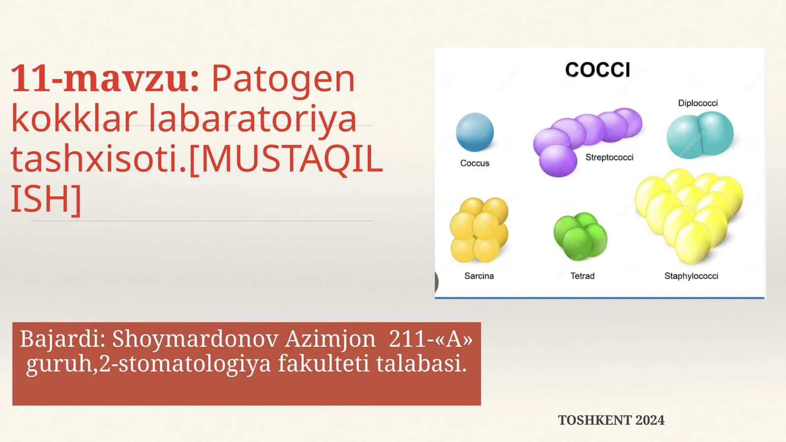 Patogen kokklar labaratoriya tashxisoti 1