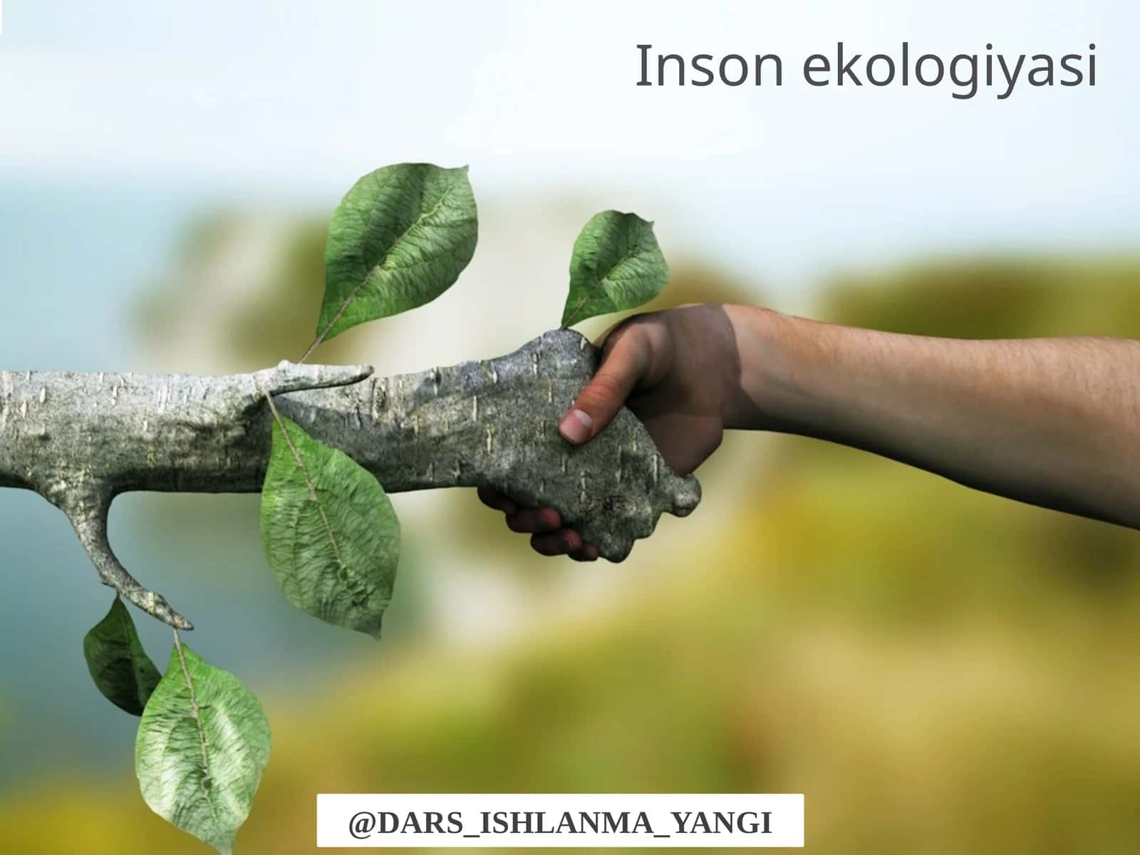 Inson  ekologiyasi 1