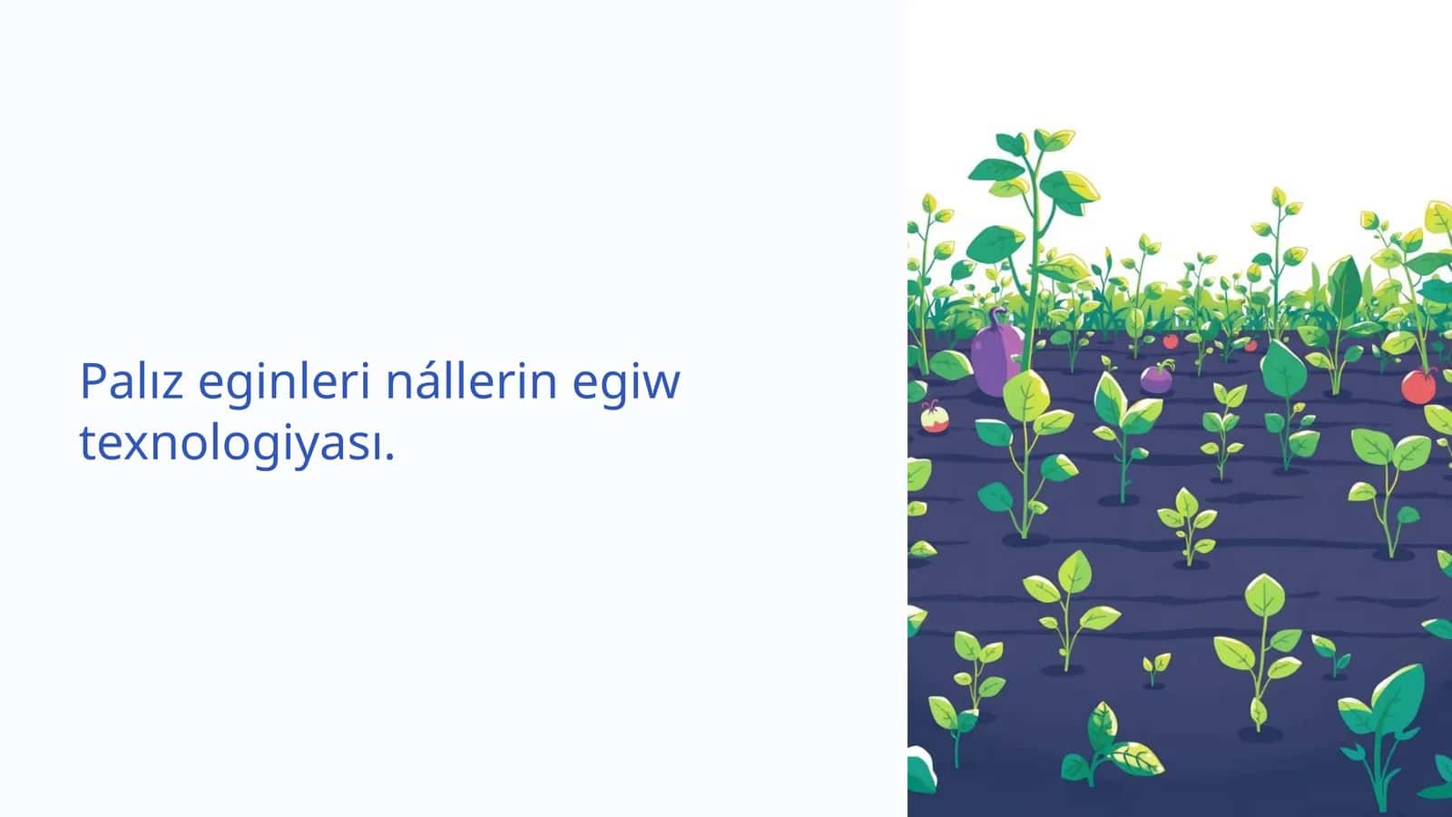 Palız eginleri nállerin egiw texnologiyası 1