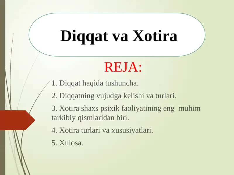Diqqat va Xotira 1