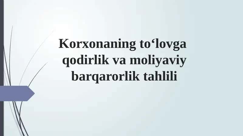 Korxonaning to‘lovga qodirlik va moliyaviy barqarorlik tahlili 1
