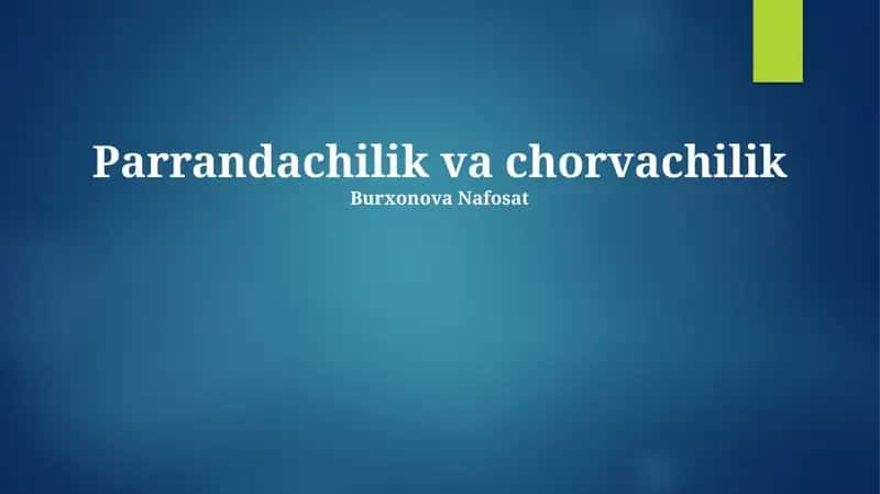 Chorvachilik va chorvachilik 1