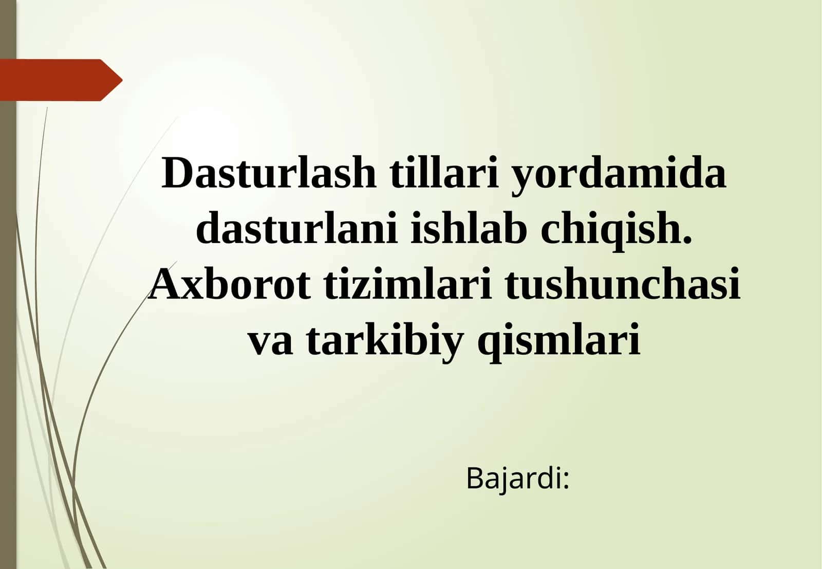 Dasturlash tillari va IDE 1
