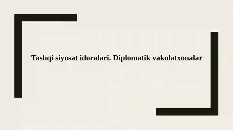 Tashqi siyosat idoralari. Diplomatik vakolatxonalar